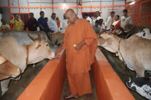 IMG_3069