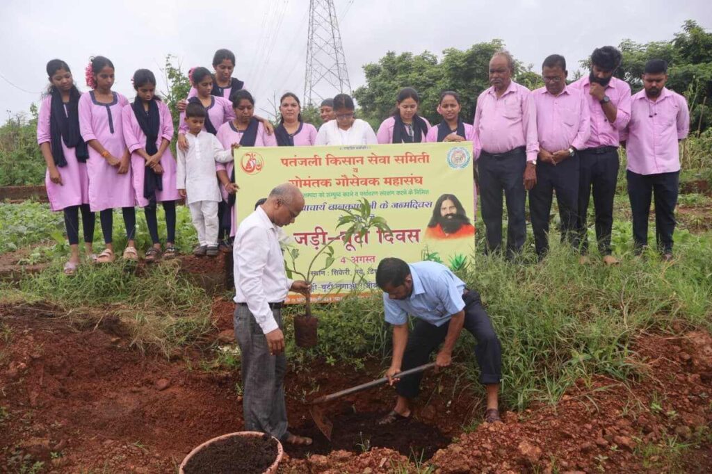 Tree_Plantation_3-13-11_140kb