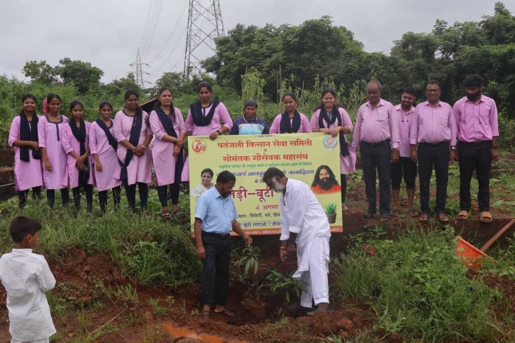 Tree_Plantation_3-18-25_140kb